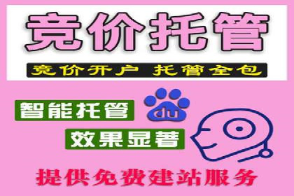 SEO与SEM融合策略：成功案例解析