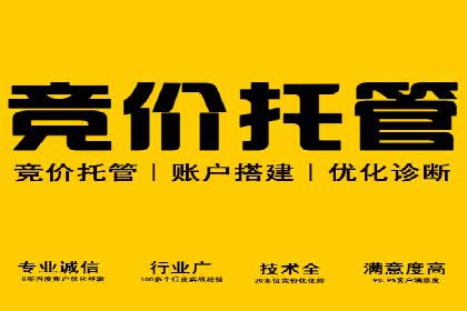 案例解析：SEM优化师如何实现快速效果转化